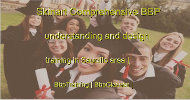 Skinart Comprehensive BBP understanding and design training in Saucillo area | BbpTraining | BbpClasses | SkinartTraining-Peru